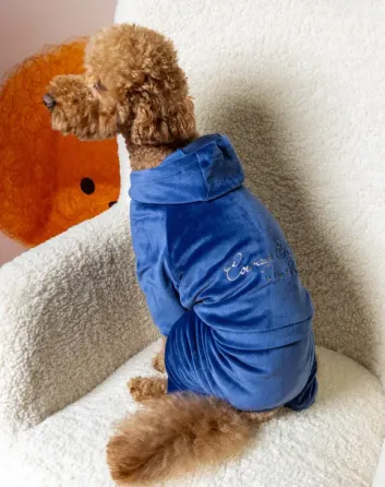 Костюм для собак велюровий Dogs Bomba з капюшоном трикотаж весна-осінь для середніх порід Кураж Синій 6 Одеса