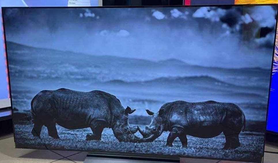 Телевизор Безрамный: 65