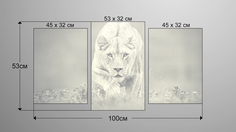 Модульна картина Природа Тигр Art-207_3 Київ - фото 3