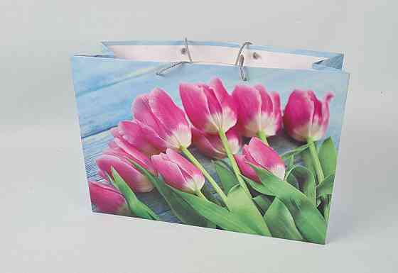 Бумажный пакет горизонтальный гигант 46*33*15 (артGG-035) (12 шт) Харьков