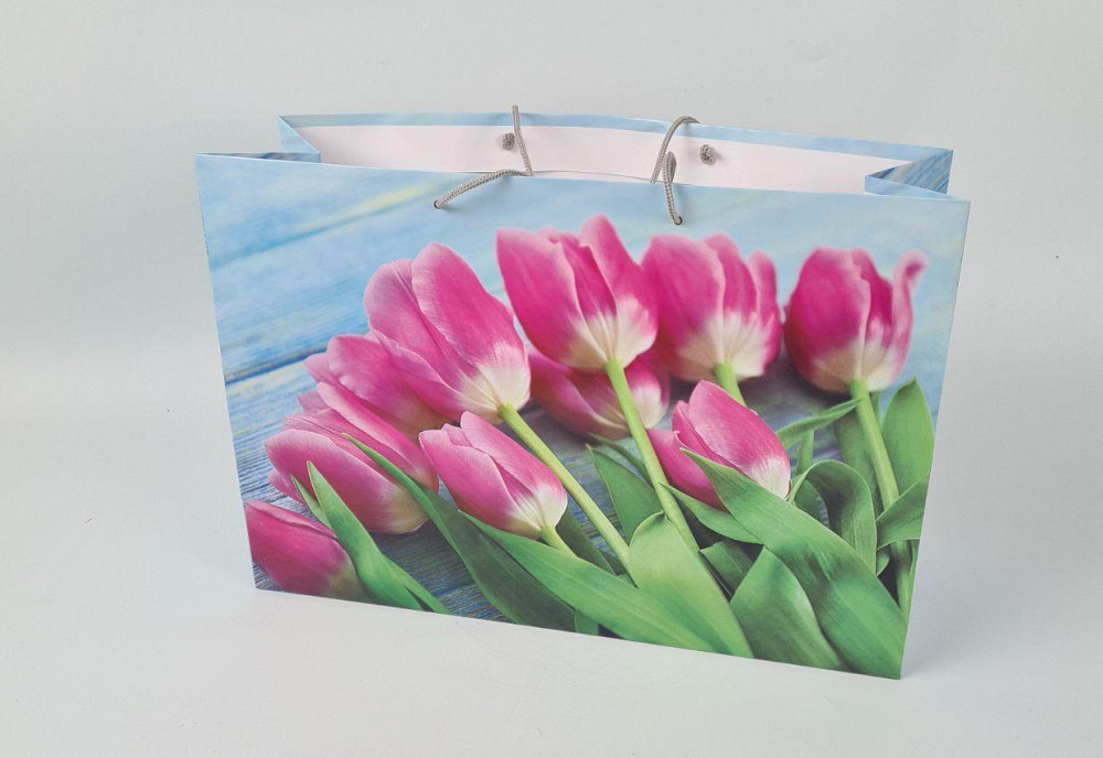 Бумажный пакет горизонтальный гигант 46*33*15 (артGG-035) (12 шт) Харьков - изображение 1