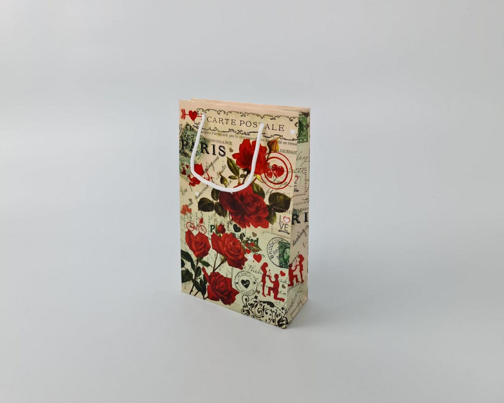 Бумажный пакет подарочный Средний 17/26/8 (артSV-185) (12 шт) Харьков - изображение 4