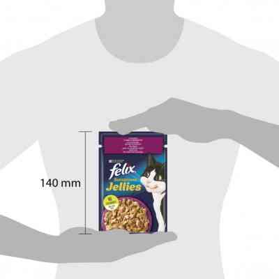 Влажный корм для кошек Purina Felix Sensations Jellies с уткой и шпинатом в желе 85 г (7613039831281) Винница