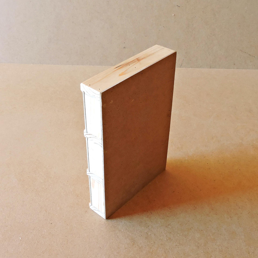 Пенал для рибальських снастей "Жерех 6" 30х20х4 Миколаїв - фото 4