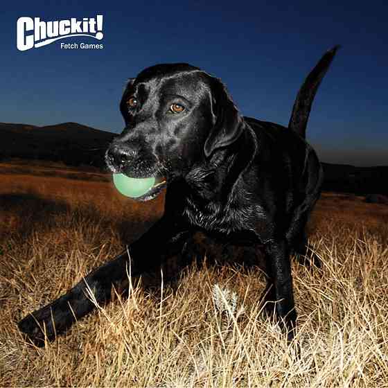 Мячик для собак Chuckit! Max Glow Ball игрушка светящийся во тьме, размер М (6,5 см) Винница
