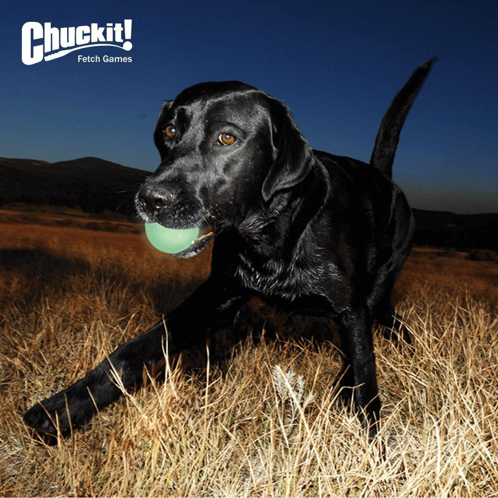 Мячик для собак Chuckit! Max Glow Ball игрушка светящийся во тьме, размер М (6,5 см) Винница - изображение 3
