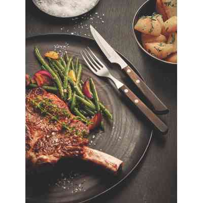 Набір столових приборів Tramontina Barbecue Polywood 12 предметів горіх (21199/909) Вінниця