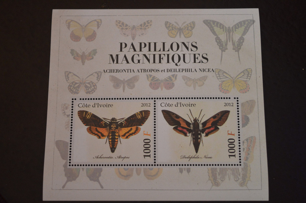 Кот-д’Ивуар. Фауна. Блок. 2015 год (В-6) Полтава - изображение 1