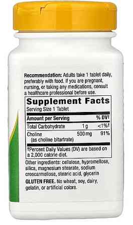 Холин Nature's Way Choline 500 mg 100 табл Киев