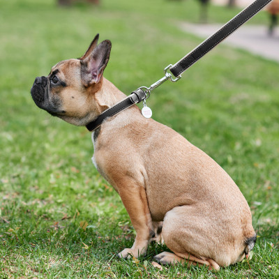 Ошейник для животных WAUDOG Soft с QR паспортом XS Ш 15 мм Д 27-36 см черный (7188) Винница - изображение 4