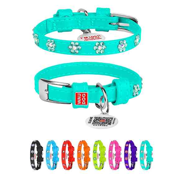 Нашийник для собак шкіряний WAUDOG Glamour з QR паспортом, з клейовими стразами "Квіти", Ш 12 м Коломия