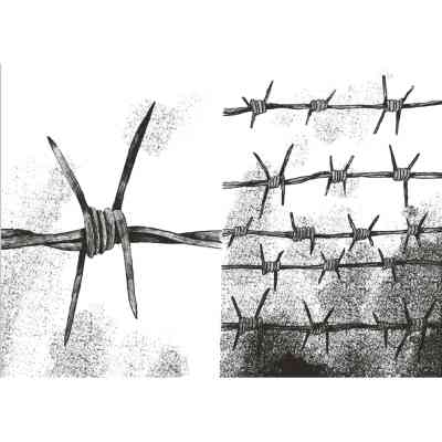 Книга Жовтий метелик - Олександр Шатохін Видавництво Старого Лева (9789664480366) Вінниця