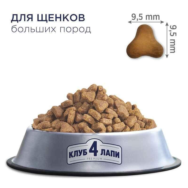 Club 4 Paws (Полуб 4 Лапи) Premium Puppy Large Breed Chicken сухий корм із куркою для цуценят великих порід 14 кг Запоріжжя - фото 2