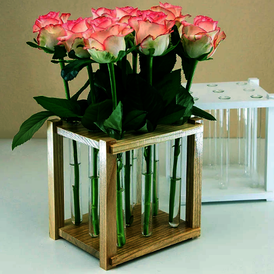 Органайзер для пробірок "Арені" мускат Миколаїв - фото 1