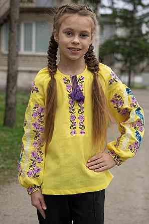Вышиванка для девочек льняная с длинным рукавом, лен, топ 152 Киев