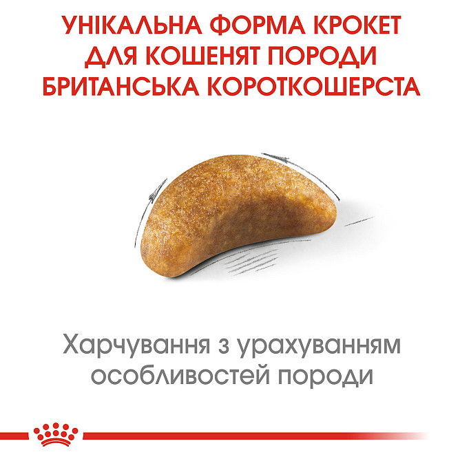 Корм для кошенят ROYAL CANIN KITTEN BRITISH SHORTHAIR 2.0 кг Київ - фото 3