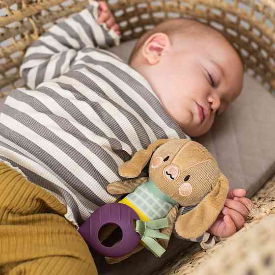 Розвиваюча підвіска-брязкальце колекції Садочок у місті – Кролик Дженні Дніпро