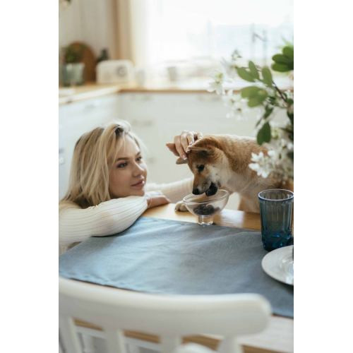 Хрустящие лакомства Savory Skin and Coat with Salmon and Marigolds для собак всех пород для здоровья кожи и шерсти с лососем и Киев - изображение 4