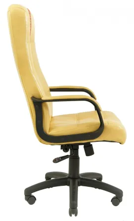 Офисное Кресло Руководителя Richman Virginia Titan Gold Beige (Без Принта) Пластик Рич М2 AnyFix Бежевый Киев