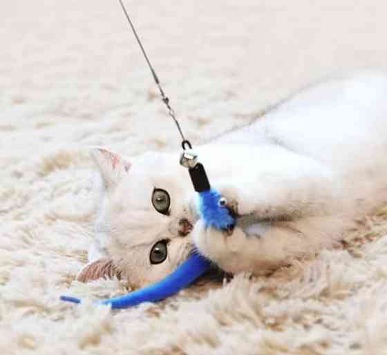 Дразнилка телескопическая для котов с разными игрушками 11 шт разноцветный Киев