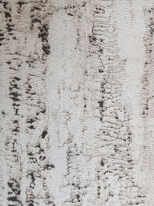 Шпалери вінілові на флізелін Rasch Composition 0,53х10 абстракція структурні кора дерева молочні беж чорні Київ - фото 3