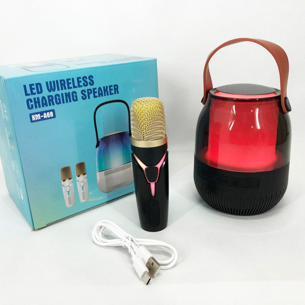Караоке микрофон с музыкой песнями, Караоке-микрофон с блютуз лучшее, Безпроводной bluetooth микрофон WK-60 Львов - изображение 12