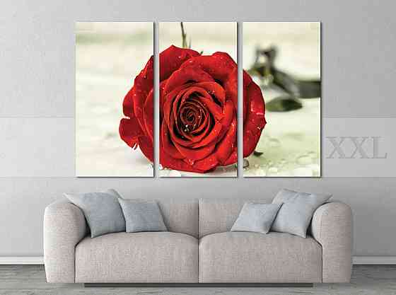 Модульна картина Троянда Art-27_XXL Київ