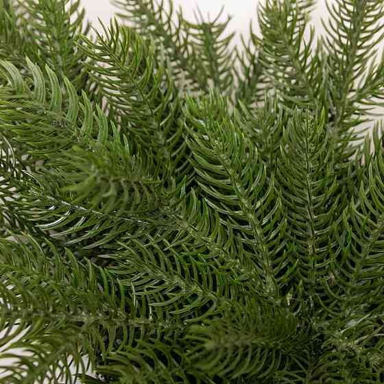 Новорічна хвойна гірлянда лита зелена Північна зірка 60*35 см TD-NSTGR1 Київ