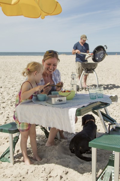 Вугільний гриль No.1 Sport F50 Rosle R25002 R18449 Код: 004425 Рівне - фото 6