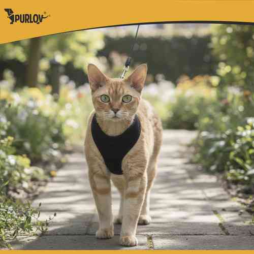 Шлейка регулируемая для животных без давления XS от 3 до 8 кг Purlov (26869) Нововолынск