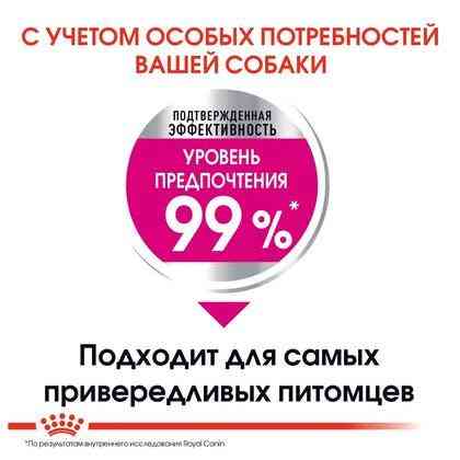 Royal Canin Mini Exigent (Роял Канін Міні Ексіджент) сухий корм для собак до 10 кг вибагливих до корму Запоріжжя
