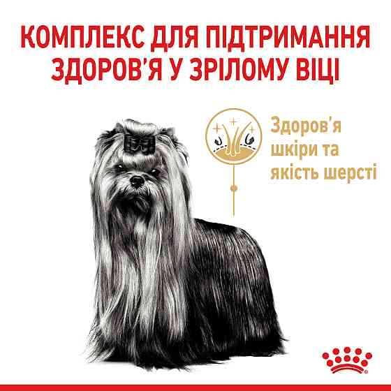 Корм для зрілих собак породи Йоркшир-тер'єр ROYAL CANIN YORKSHIRE TERRIER AGEING 8+(віком від 8 років) 1.5 кг Київ