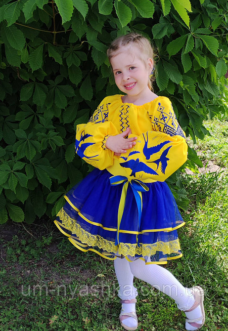 Синьо-жовтий костюм вишиванка "Ластівки-мереживо" Кривий Ріг - фото 2
