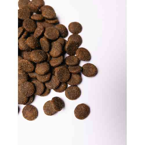 Корм сухий Savory Large Breeds rich in Fresh Turkey and Lamb для дорослих собак великих порід від 25 кг зі свіжим ягням та і Київ