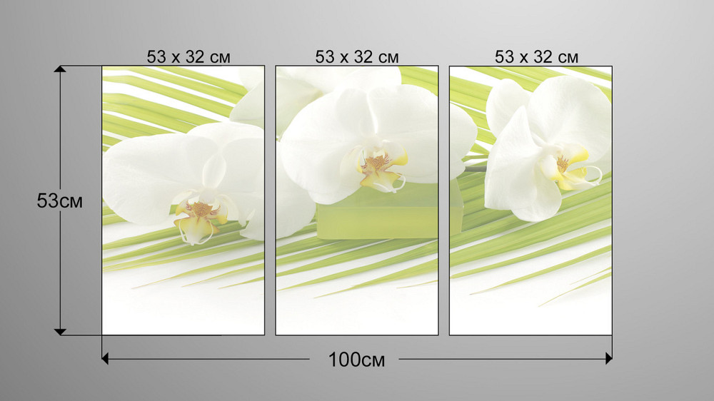 Модульна картина Білі Квіти Art-34_3А Київ - фото 3