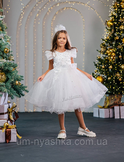 Святкова пишна сукня на ріст 110-122 Кривий Ріг - фото 1
