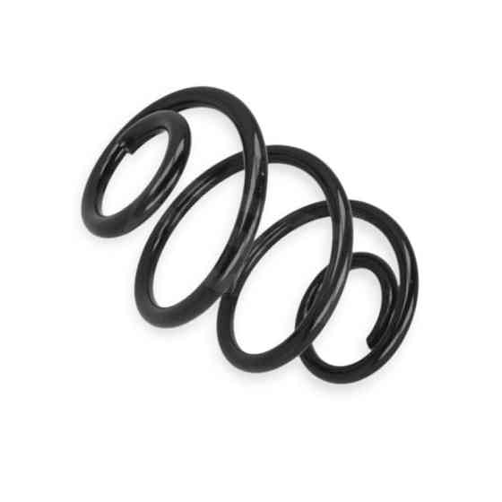 Пружина Рено Twingo II 07- задняя Мукачево