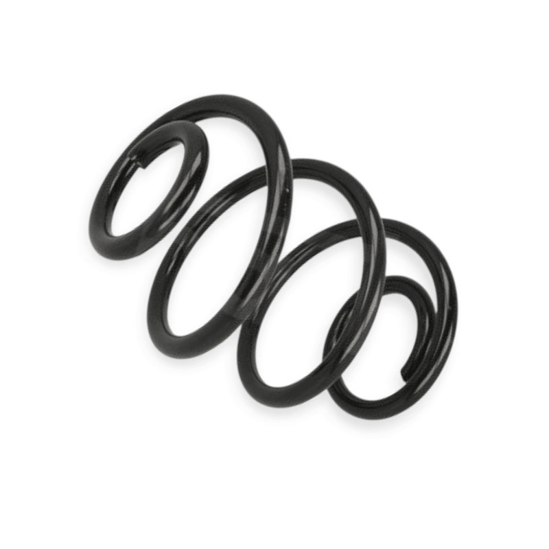 Пружина Рено Twingo II 07- задняя Мукачево - изображение 1