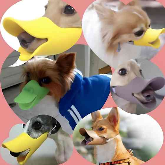 Намордник для собак Качка Quack силіконовий RESTEQ - м'який регульований намордник у вигляді дзьоба для дрібних порід, розмір S, Київ