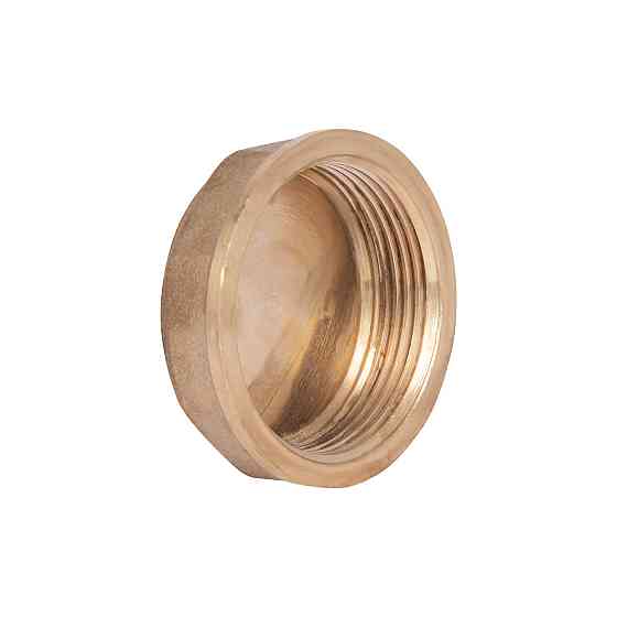 Заглушка Thermo Alliance Standart 1 1/2" ВР SD40240 Київ