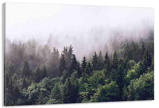 Картина полотно у вітальню / спальню  Природа Ліс   MLP_381 ( 60х30см ) Київ