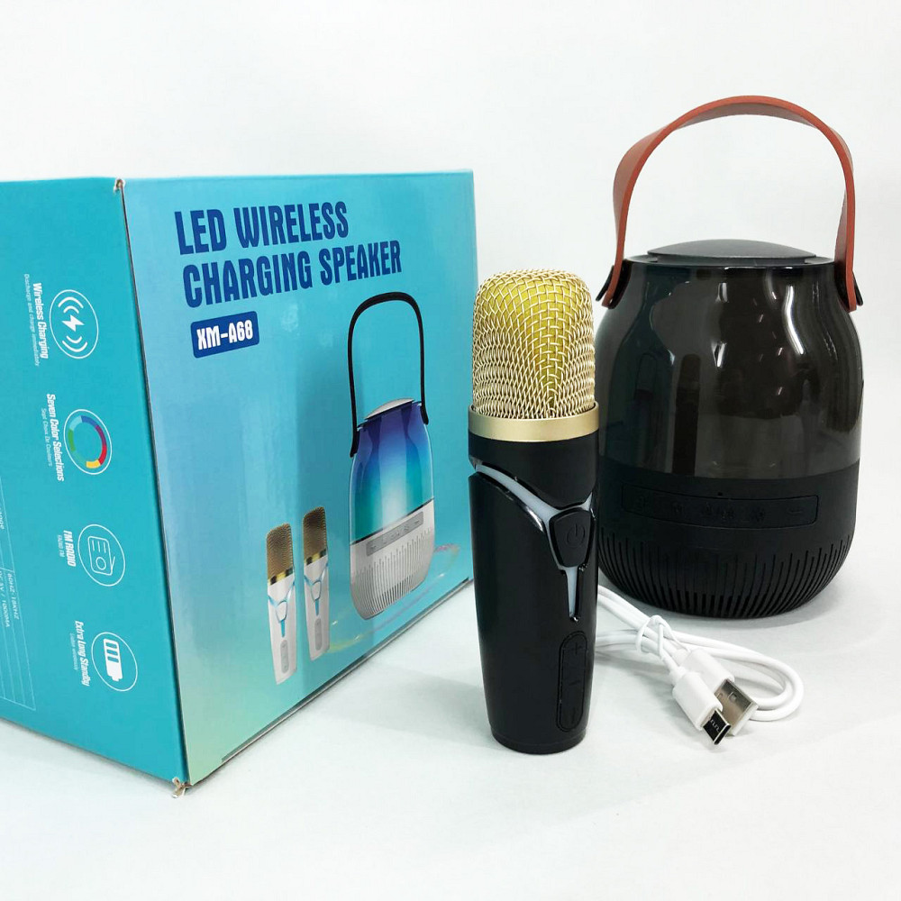 Караоке-мікрофон з блютуз краще, Bluetooth караоке мікрофон, Караоке домашнє дитяче WN-94 Львів - фото 5