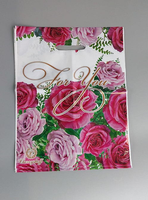 Пакеты с вырубной ручкой (29*37)