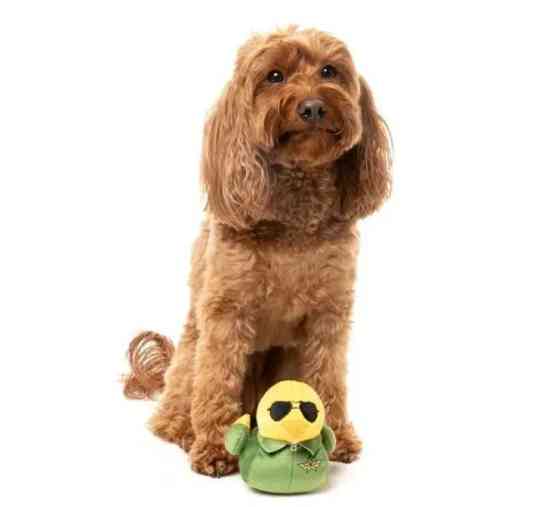 М'яка іграшка для собак FuzzYard Качечка Гус S Луцк