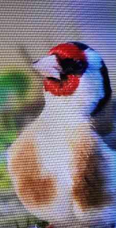 Телевізор Samsung 50Q60 Smart 4K. Київ