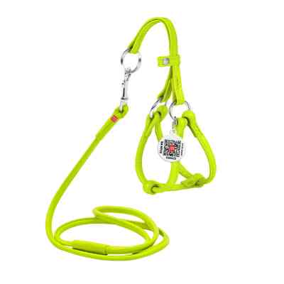 Шлей для собак WAUDOG Glamour с поводком круглая Д 6 мм А 42-60 см В 46-64 см салатовая (34025) Винница