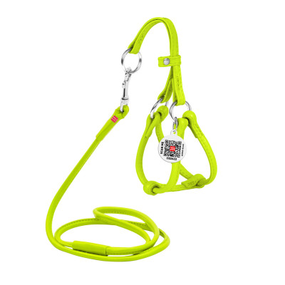 Шлей для собак WAUDOG Glamour с поводком круглая Д 6 мм А 42-60 см В 46-64 см салатовая (34025) Винница - изображение 1