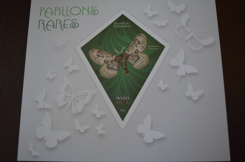 Мадагаскар. Марки. Фауна. Блок. 2015 рік (А-22) Полтава - фото 1