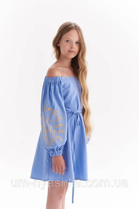 Детское вышитое платье с колосками Непобедимая 146-158 Кривой Рог - изображение 3