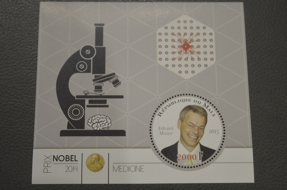 Мали. Личности. Нобелевские лауреаты. Блок. 2015 год (М) Полтава - изображение 1